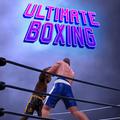 Ultimate Boxing: A Thrilling Virtual Fight Game